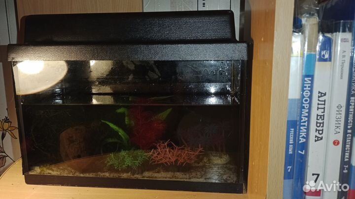 Аквариум