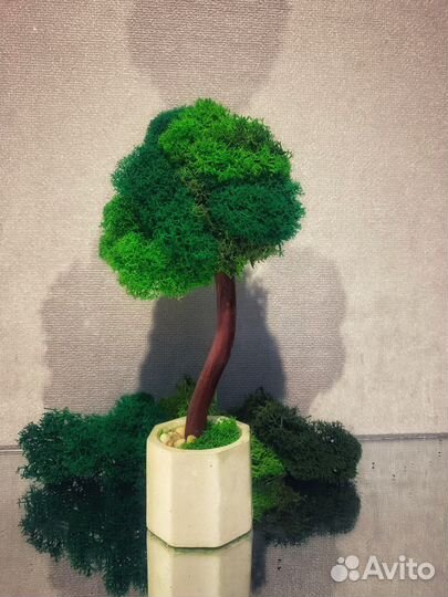 Декоративное дерево со мхом. Топиарий