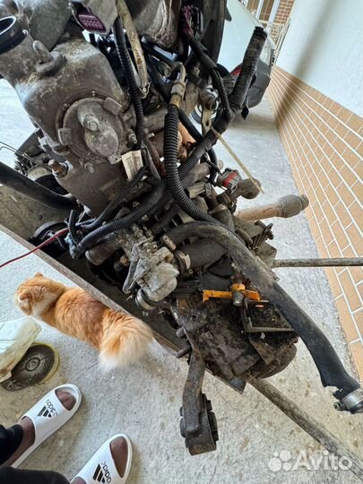 Двигатель ваз 2114 1.6 8 клапанный