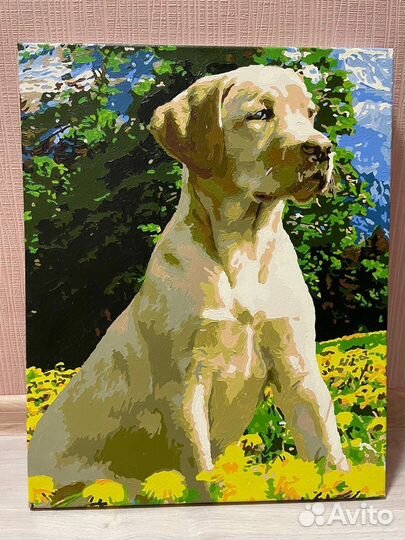 Картины готовые по номерам