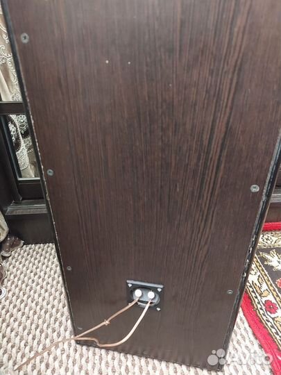 Колонки вега 50ас 104