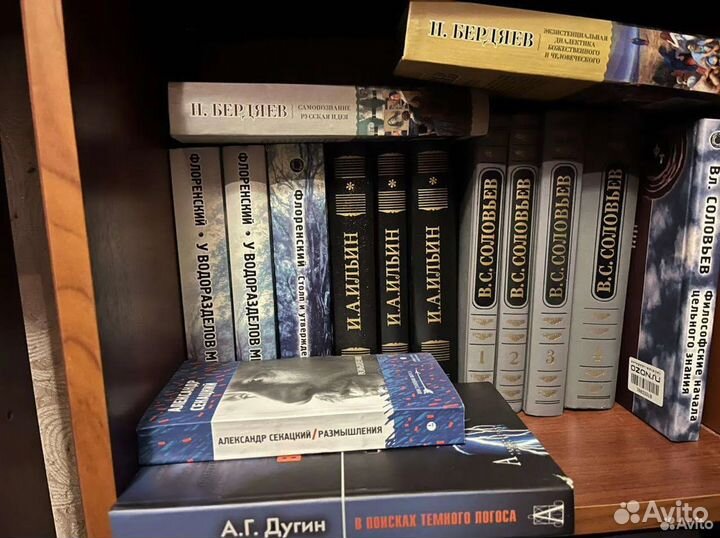 Ильин книги