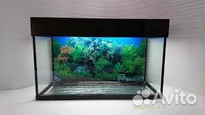 Аквариум