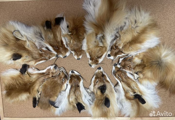 Натуральный мех лисы хвост для Tai'Shen