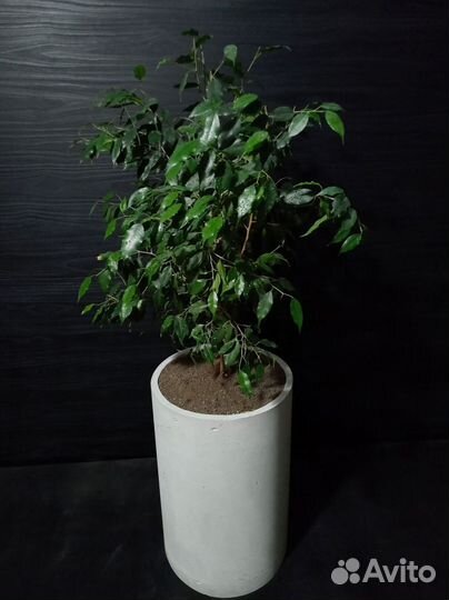 Вазоны, Горшки, Кашпо под заказ из бетона арт 124