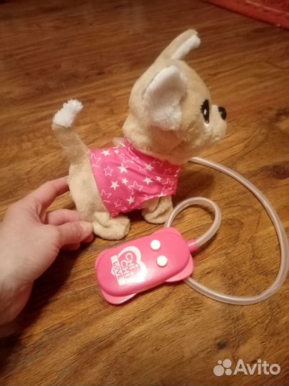 Собачка чичилав