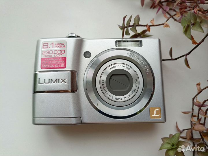 Panasonic Lumix DMC-LS80
