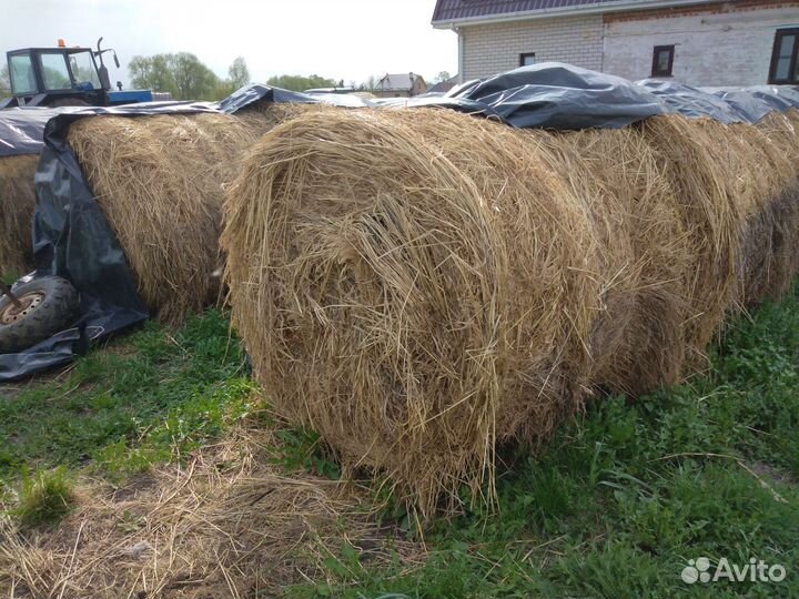 Сено в рулонах
