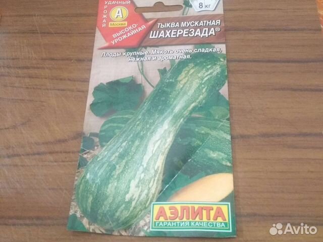 Семена тыквы: розовый банан и