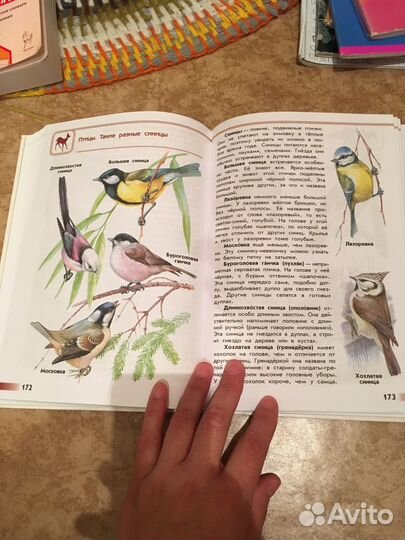 Атлас определитель от земли до неба