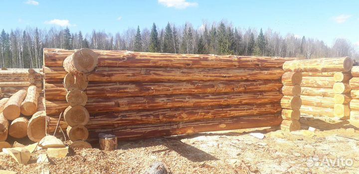 Рубим срубы