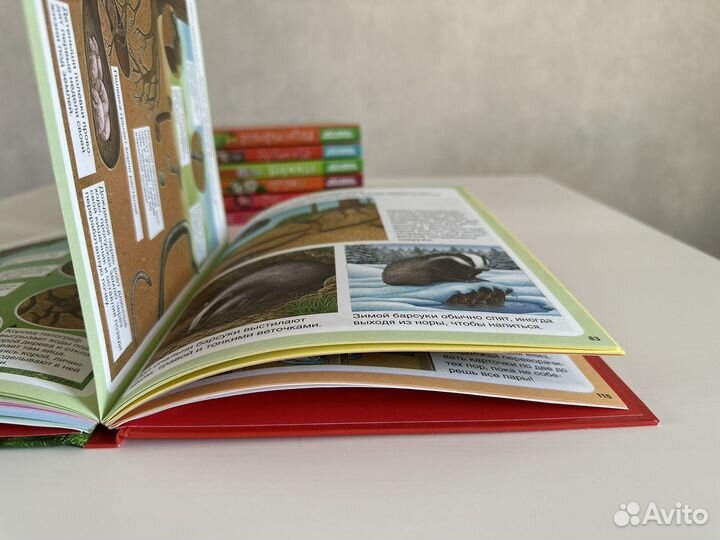 Книги твоя первая энциклопедия