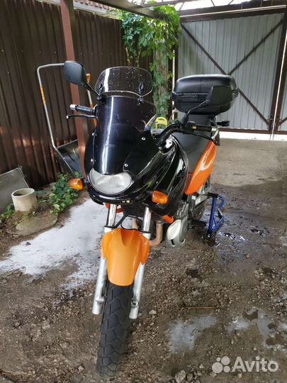 Suzuki xf650 freewind