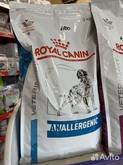 Royal canin anallergenic для собак
