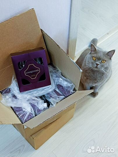 Набор бокалов Courvoisier для коньяка и виски