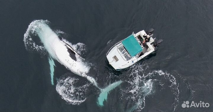 Тур Териберка - Мурманск на 4 дня