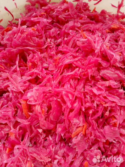 Капуста квашеная. Капуста квашеная со свёклой