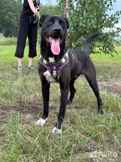 Нежный и робкий мальчик