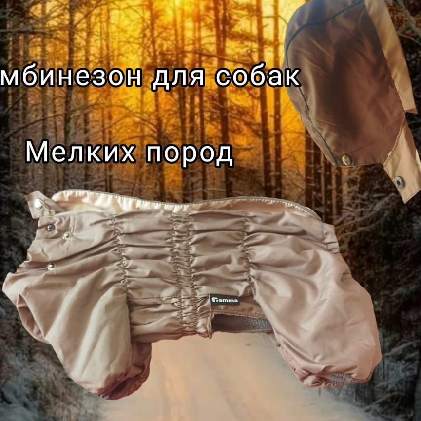 Комбинезон для мелких пород