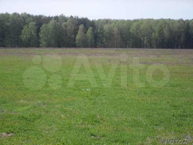 Участок 4,26 га (СНТ, ДНП)