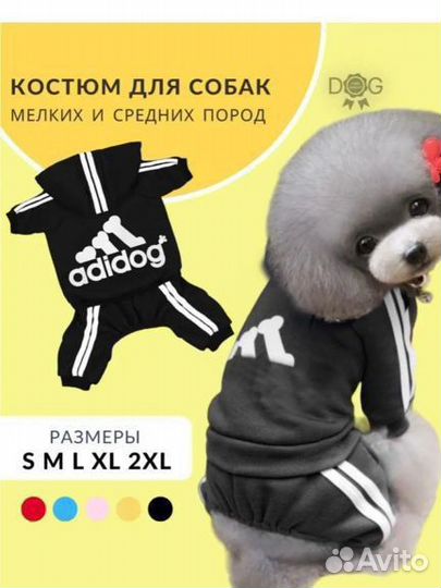 Костюм для собаки