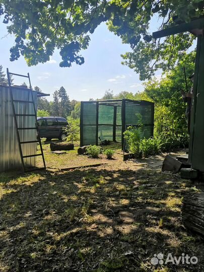 Покос травы триммером