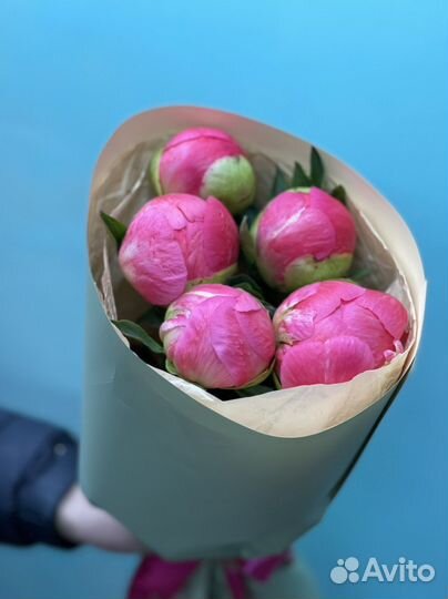 Хризантемы сирень пионы роза