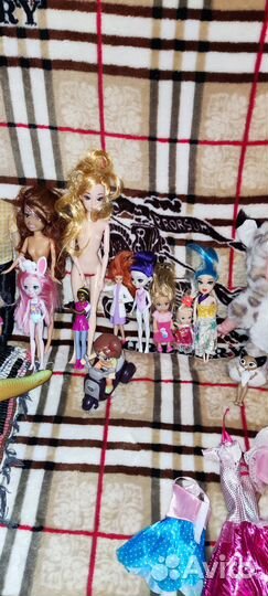 Много кукол цена за все