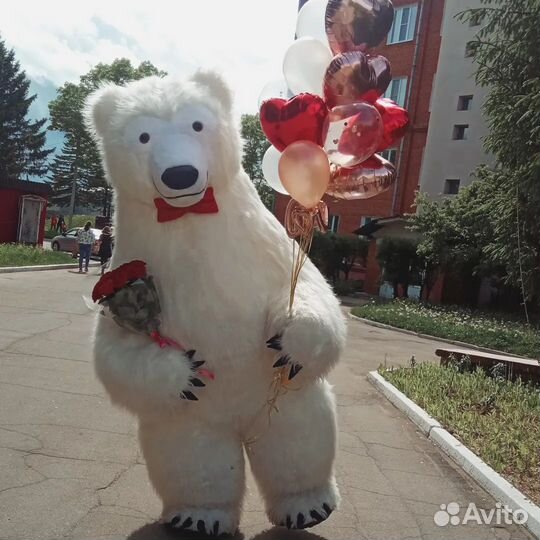 Экспресс поздравление