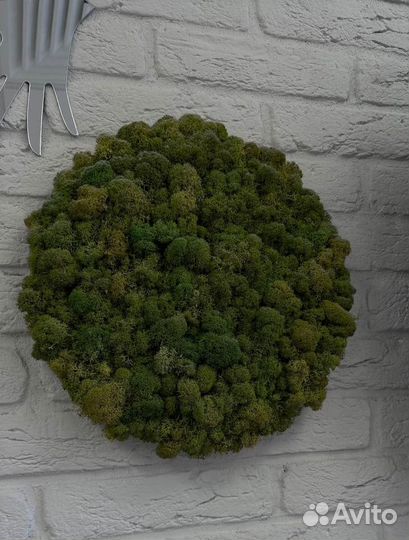 Панно из стабилизированного мха