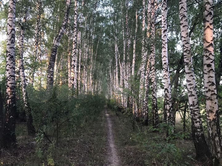 Участок 15 сот. (ИЖС)