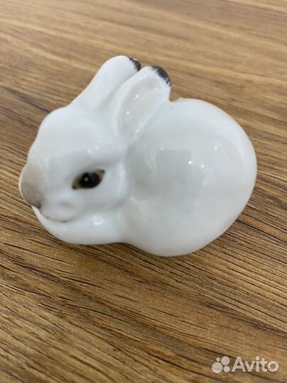 Фарфоровый заяц