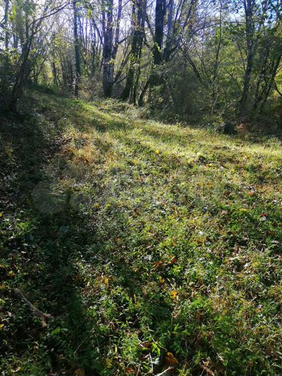 Участок 55 сот. (ИЖС)