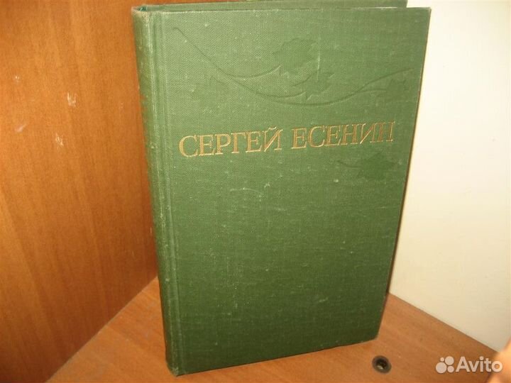 Русская поэзия