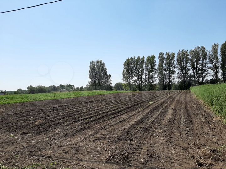 Участок 25 сот. (ИЖС)