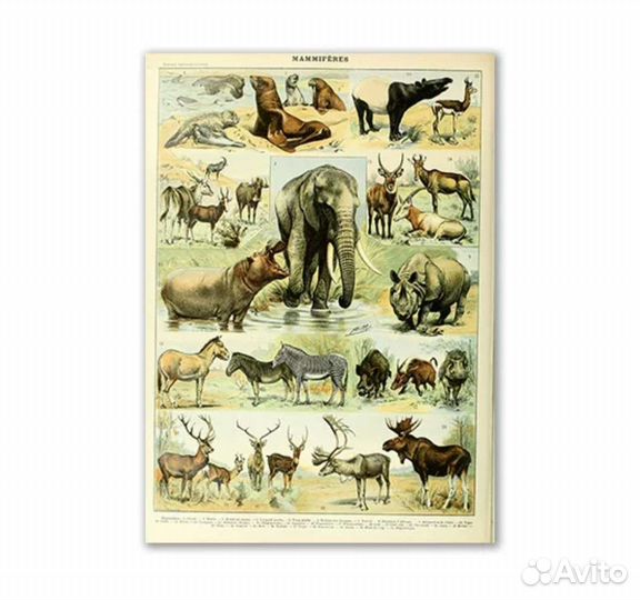 Картина на холсте