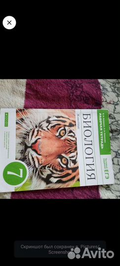 Рабочие тетради 7 класс