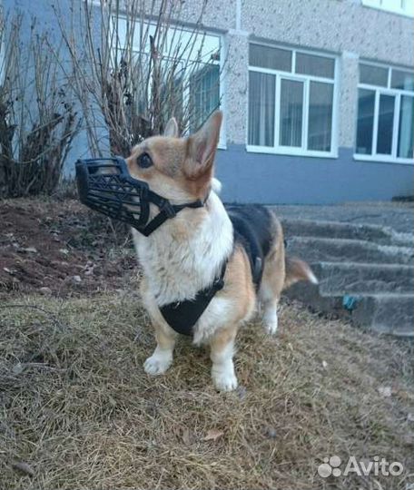 Trixie Намордник от подбирания с земли р. 4 (М) пл