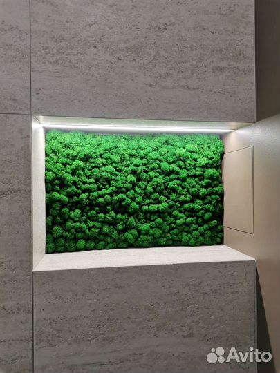 Стабилизированный мох ягель панель в ванную