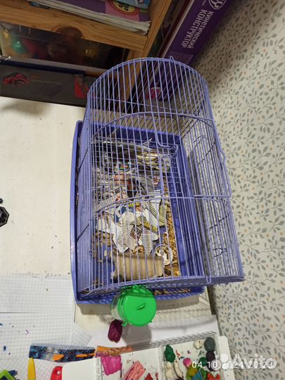 Клетка для грызуна