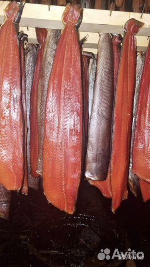 Красная рыба/производство