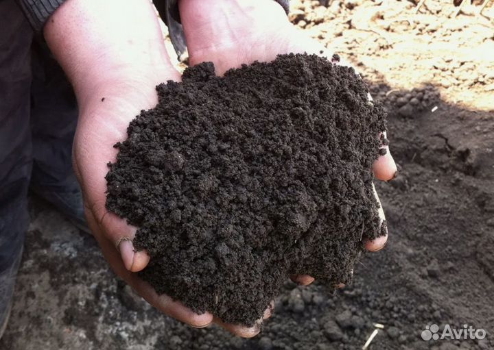 Грунт для газона, почвогрунт, торф, семена