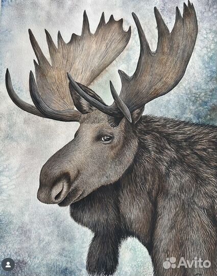 Обучение рисованию