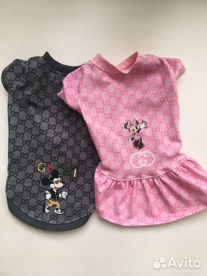 Одежда для маленьких собак