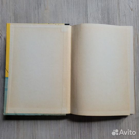 В снегах крайнего юга. Введенский. 1976 г