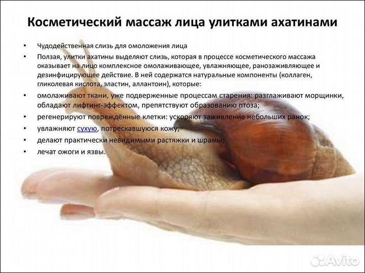 Лечебный массаж