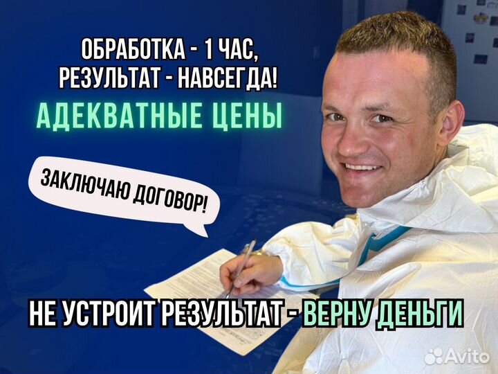 Дезинфекция. Обработка от клещей