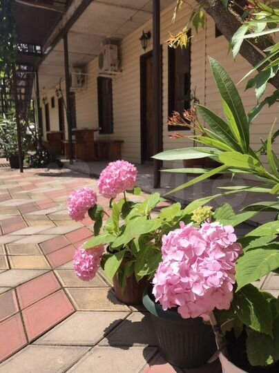 Дом 25 м² на участке 6 сот.