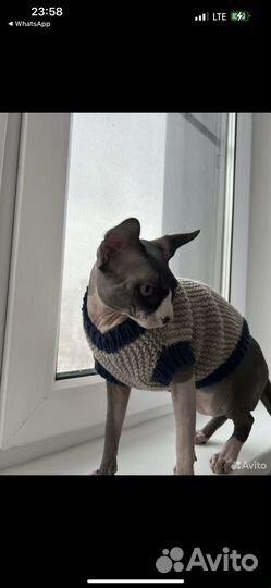 Аксессуар для собак