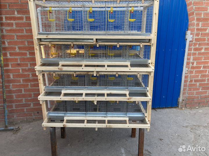 Клетка для перепелок